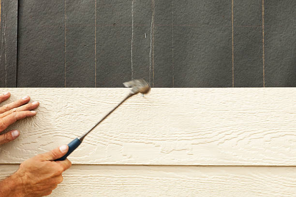 Best Brick Veneer Siding  in Fairmount, GA
